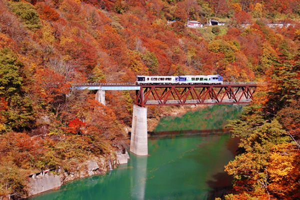 【観光列車の旅】京都と会津で車窓からもみじ狩り。いまこそ乗りたい紅葉トロッコ列車２選