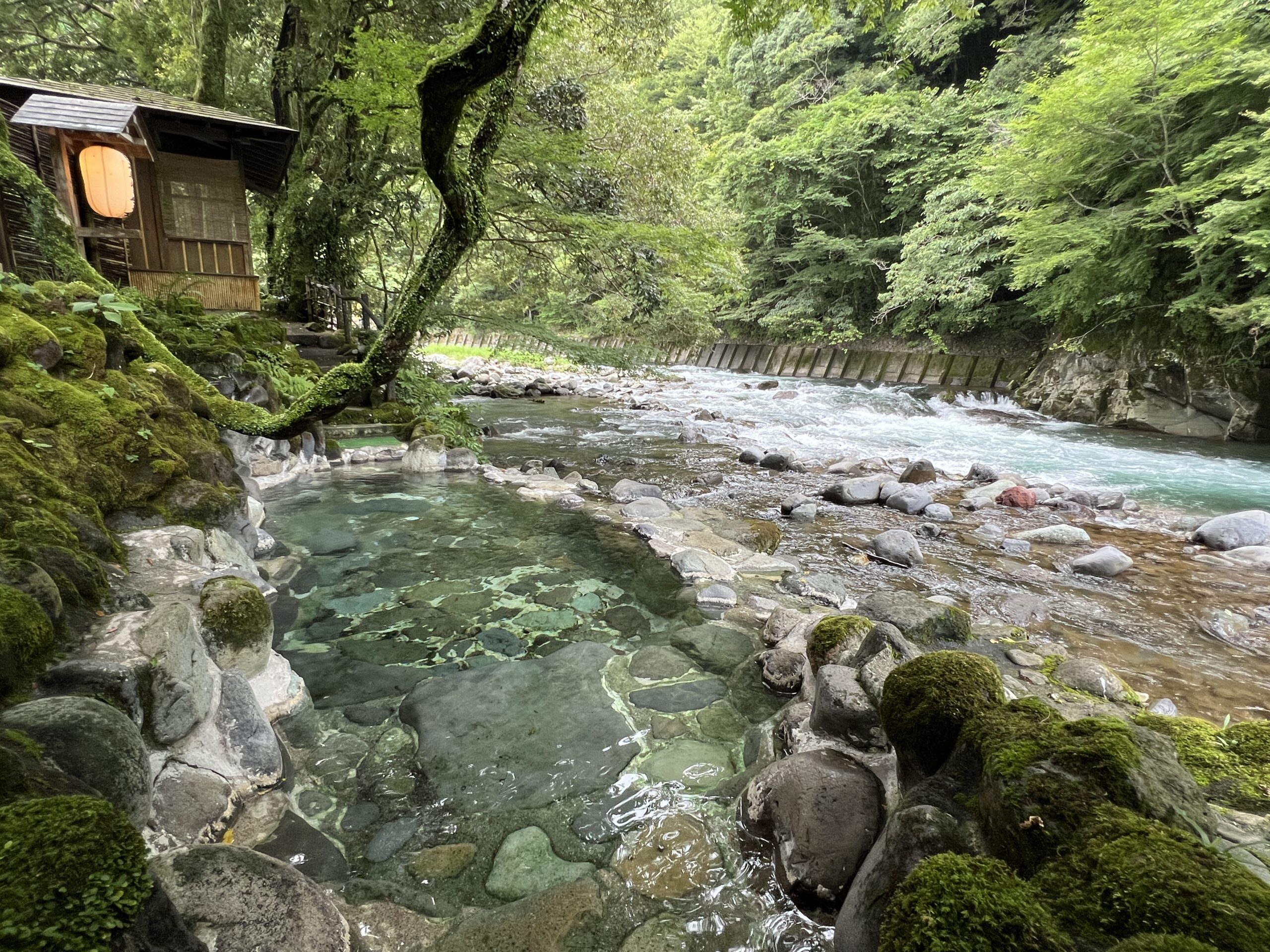 【名作ゆかりの温泉宿】～名作『伊豆の踊子』は天城の自然と輝くお湯に恵まれた湯ヶ島から生まれました～静岡県 湯ヶ島温泉 湯本館