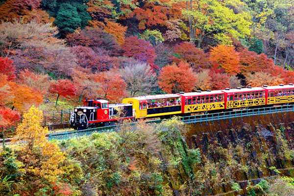 観光列車の旅 京都と会津で車窓からもみじ狩り いまこそ乗りたい紅葉トロッコ列車２選 Wa Online